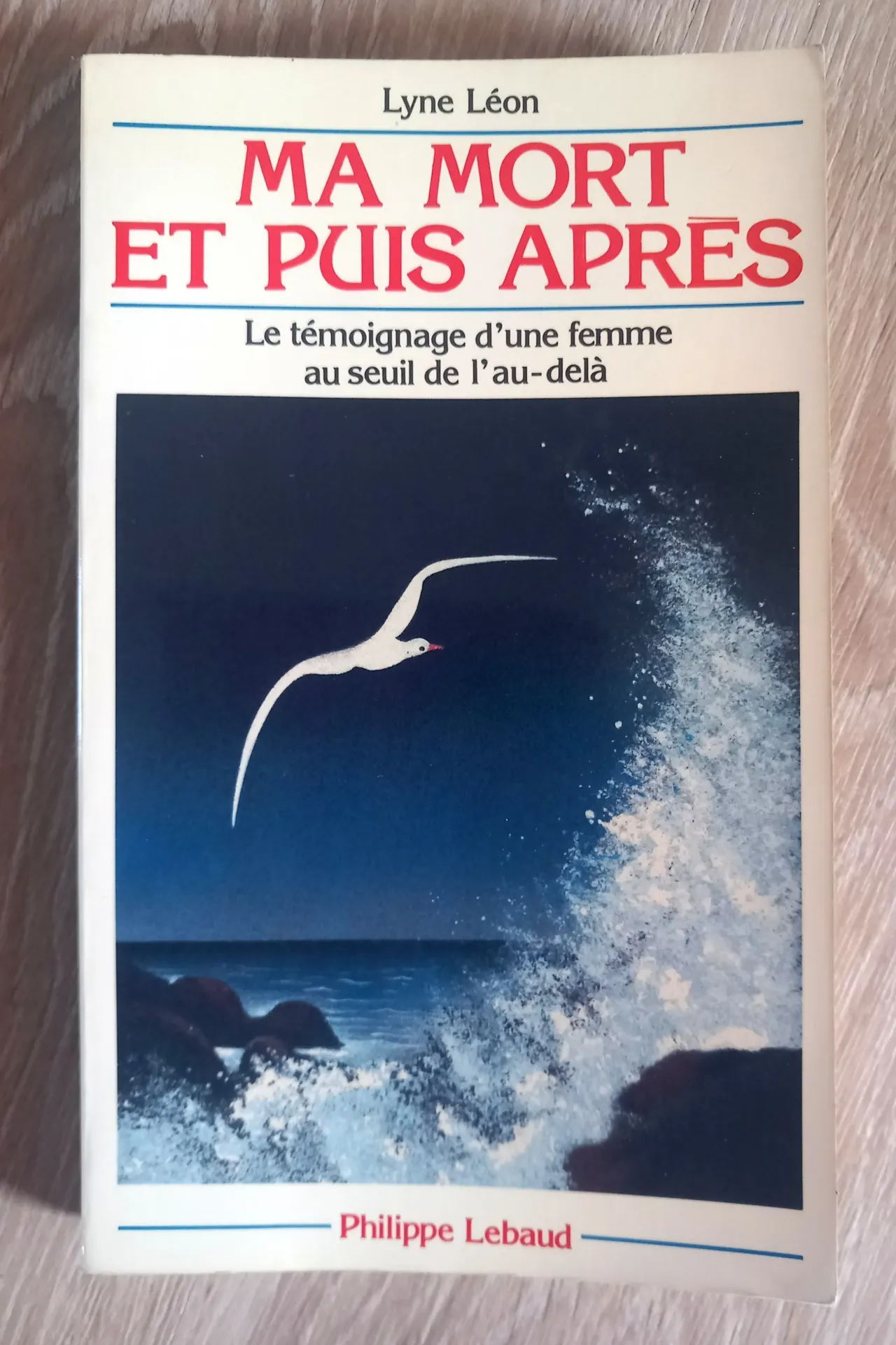 Ma mort et puis après (Lyne Léon)