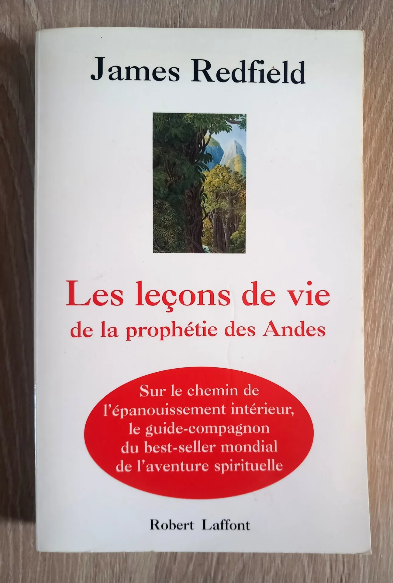 Les leçons de vie de la Prophétie des Andes (James Redfield)