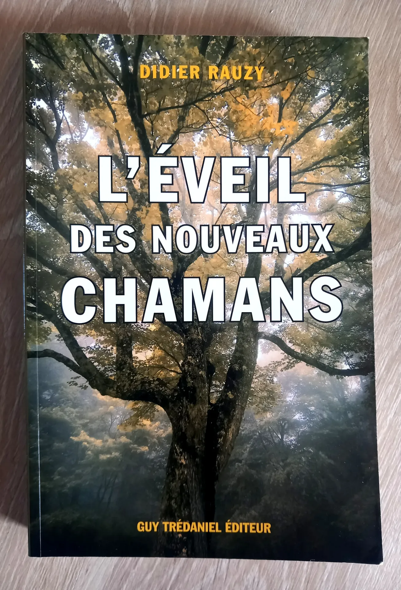 L'éveil des nouveaux chamans (Didier Rauzy)