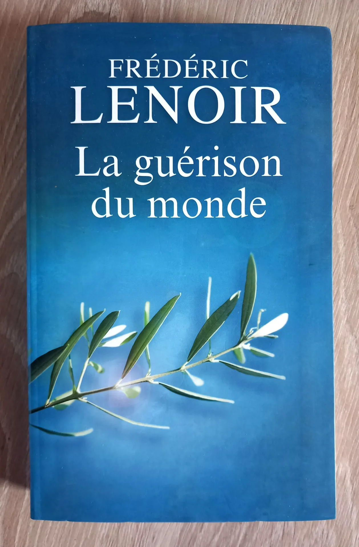 La guérison du monde (Frédéric Lenoir)