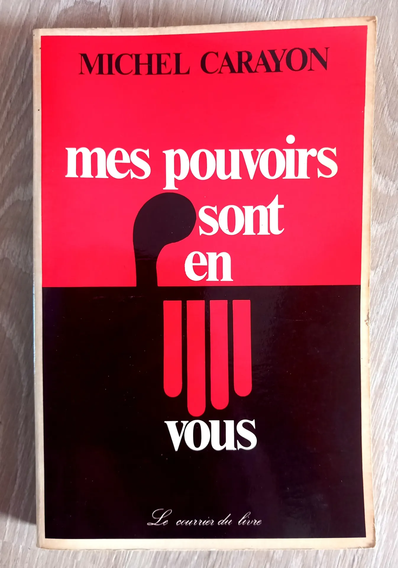 Mes pouvoirs sont en vous (Michel Carayon)